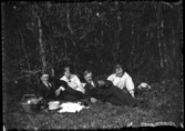Två män och två kvinnor på picknick i gröngäset. Nummer två från vänster, Julia Westergren.