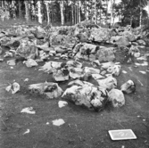 Gravfält, Köping sf Sylta 1:7 RAÄ 39.