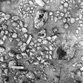 Gravfält, Köping sf Sylta 1:7 RAÄ 39.