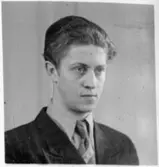 Folkhögskola, Färgelanda. Porträtt