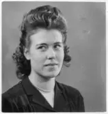 Folkhögskola, Färgelanda. Porträtt