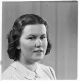 Folkhögskola, Färgelanda. Porträtt