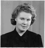 Folkhögskola, Färgelanda. Porträtt