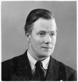 Folkhögskola, Färgelanda. Porträtt Johan Albinsson