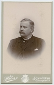 Porträtt på Robert Karlsson Handlande, Kamrerare.