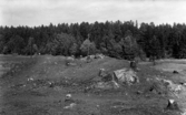 Svedvi sn Rallsta nära Kanthalverken Hallstahammar undersökt av Vlm / Sven Drakenberg 1946.

Anläggning 4.