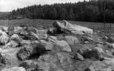 Svedvi sn Rallsta nära Kanthalverken Hallstahammar undersökt av Vlm / Sven Drakenberg 1946.

Röset i den största högen på gravfältet NV om Rallsta blottat.
Anläggning 4.