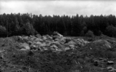 Svedvi sn Rallsta nära Kanthalverken Hallstahammar undersökt av Vlm / Sven Drakenberg 1946.

Anläggning 4.