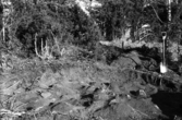 Romfartuna sn arkeologisk undersökning av sju fornlämningar på gravfält söder om Äs utförd av Sven Drakenberg 1947-1948

Anläggning 5, foto från söder av det avtäckta röset.