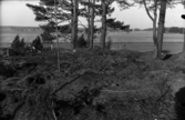Romfartuna sn arkeologisk undersökning av sju fornlämningar på gravfält söder om Äs utförd av Sven Drakenberg 1947-1948

Anläggning 7, jordhög.
