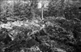 Romfartuna sn arkeologisk undersökning av sju fornlämningar på gravfält söder om Äs utförd av Sven Drakenberg 1947-1948

Anläggning innan undersökning