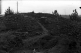 Romfartuna sn arkeologisk undersökning av sju fornlämningar på gravfält söder om Äs utförd av Sven Drakenberg 1947-1948

Anläggning 10, jordhög av oval grundform.