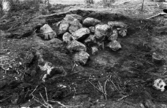 Romfartuna sn arkeologisk undersökning av sju fornlämningar på gravfält söder om Äs utförd av Sven Drakenberg 1947-1948

Anläggning ? under utgrävning