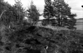 Romfartuna sn arkeologisk undersökning av sju fornlämningar på gravfält söder om Äs utförd av Sven Drakenberg 1947-1948

Grav 1, närbild ?