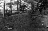 Romfartuna sn arkeologisk undersökning av sju fornlämningar på gravfält söder om Äs utförd av Sven Drakenberg 1948

Anläggning 2, jordhög med oregelbundet rundad planform mot gammalt grustag.