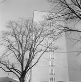 Regionsjukhuset, 1960