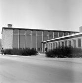 Lärare på väg in i Vasaskolan, 1960