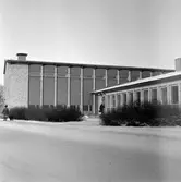 Lärare på väg in i Vasaskolan, 1960