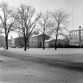 Vasaskolans olika huskroppar, 1960