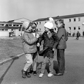 En grupp flickor på Södra Lillåstrandskolans skolgård, 1960-tal