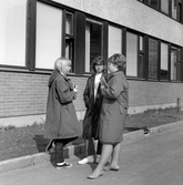 Elever i samtal på Olaus Petriskolans skolgård, 1960-tal