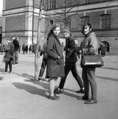 Elever på Olaus Petriskolans skolgård, 1960-tal