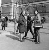 Elever på Olaus Petriskolans skolgård, 1960-tal