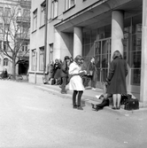 Elever vid entrén till Nikolai läroverk, 1960-tal