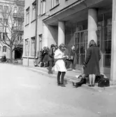 Elever vid entrén till Nikolai läroverk, 1960-tal