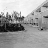 Bostadshus i Brickebacken, september 1972