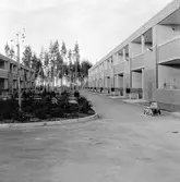 Bostadshus i Brickebacken, september 1972