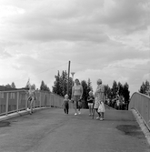 Familj på gångbro i Brickebacken, 1970-tal