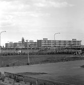 Bostadshus i Brickebacken, 1970-tal