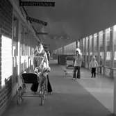 Barn leker i Brickebackens centrum, 1970-tal