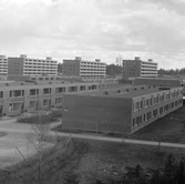 Olika hustyper i Brickebacken, 1970-tal