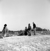 Barn i pulkabacken i Brickebacken, 1970-tal