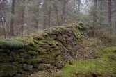 Stenmurar i skogen. SO  om gården Ängkas   Södra Högsäter  Färgelanda.