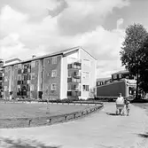 Barn på promenad i Baronbackarna, 1960-tal