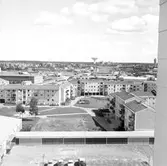 Baronbackarna mot öster, 1960-tal