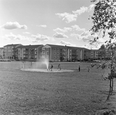 Lekande barn vid utedusch på gräsmattan i Baronbackarna, 1960-tal