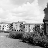 Bostadshus i Baronbackarna, 1960-tal