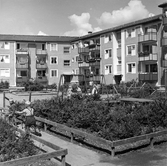 Plantering runt lekplats i Baronbackarna, 1960-tal