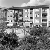 Flickor gungar på lekplats i Baronbackarna, 1960-tal