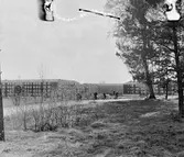 Barn på cykelbana i Baronbackarna, 1960-tal