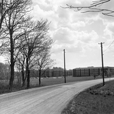 Öknavägen till Baronbackarna innan motorvägen byggdes, 1960-tal