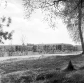 Öknavägen mot Baronbackarna från norr, 1960-tal