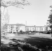 Promenadväg genom Baronbackarna, 1960-tal