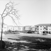 Öppna ytor i Baronbackarna, 1960-tal
