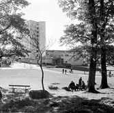 Ungdomar vid centrum i Baronbackarna, 1960-tal