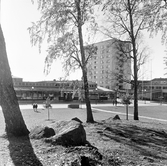 Backen vid centrum i Baronbackarna, 1960-tal